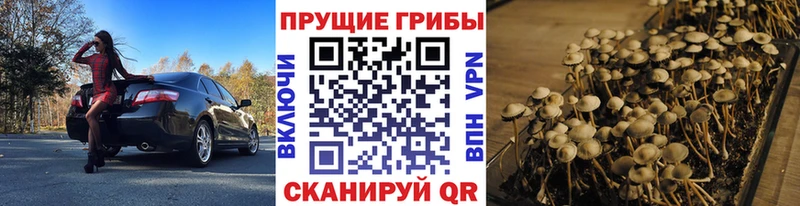 Галлюциногенные грибы мицелий  OMG зеркало  Партизанск 